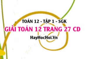 Giải Toán 12 trang 27 tập 1 Cánh Diều